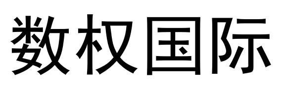 数权国际