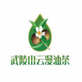 武陵山云漫油茶