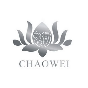 超微;CHAOWEI