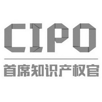 首席知识产权官 CIPO;CIPO