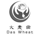 大麦田 DAS WHEAT;DAS WHEAT