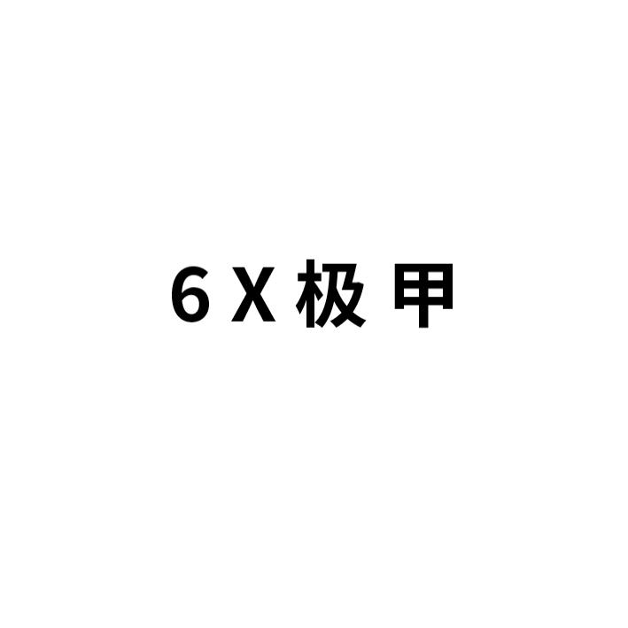 极甲;6 X