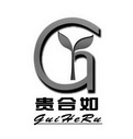 贵合如 GY GUIHERU;G