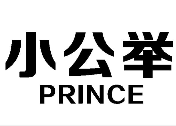 小公举 PRINCE;PRINCE