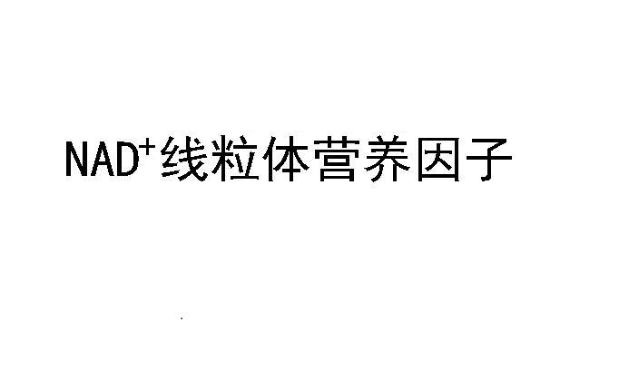 线粒体营养因子;NAD