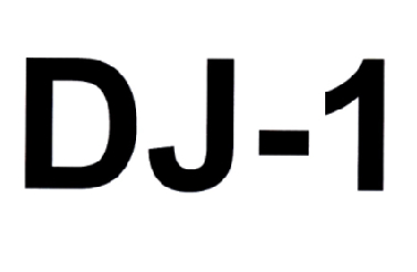 DJ-1;DJ1