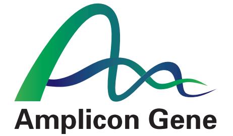 AMPLICON GENE;AMPLICON GENE