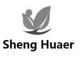 SHENG HUAER;SHENG HUAER