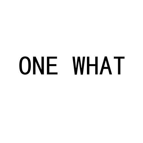 ONE WHAT;ONE WHAT