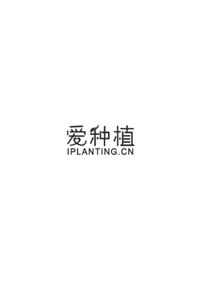 爱种植 IPLANTING.CN;IPLANTINGCN