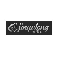 金湡龙;JINLONG