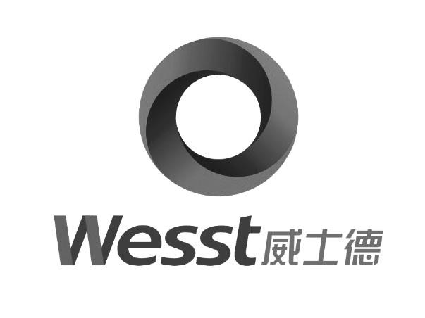 威士德;WESST