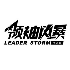 领袖风暴 特训营 LEADER STORM;LEADER STORM