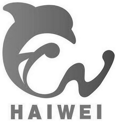 HAI WEI;HAI WEI