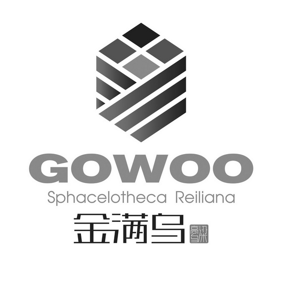 金满乌乌高粱;GOWOO SPHACELOTHECA REILIANA