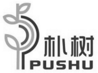 朴树;PUSHU