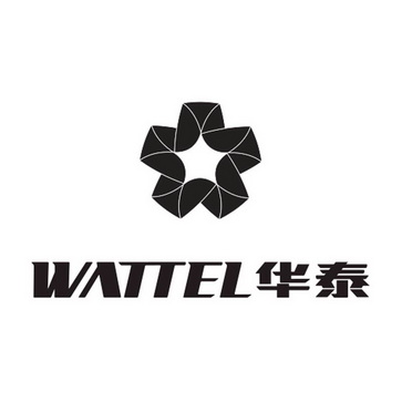 华泰 WATTEL;WATTEL