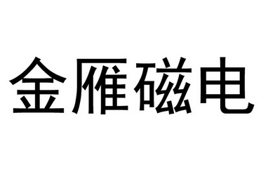 金雁磁电