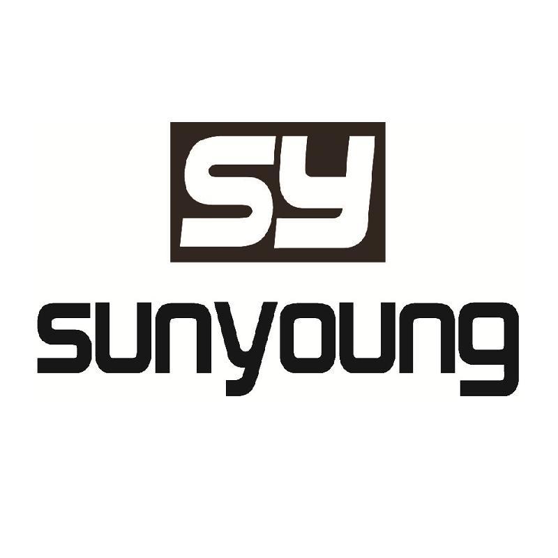 SUNYOUNG SY;SUNYOUNG SY