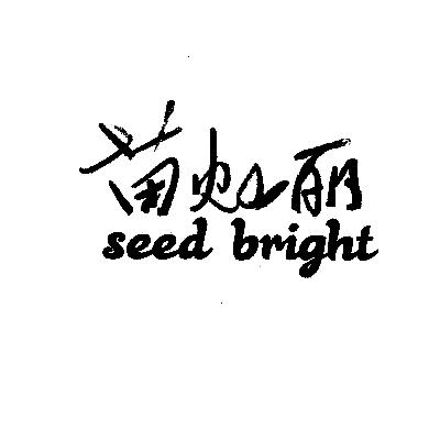 苗灿丽 SEED BRIGHT;SEEDBRIGHT