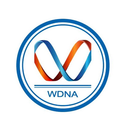 WDNA;WDNA