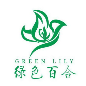 绿色百合 GREEN LILY;GREEN LILY