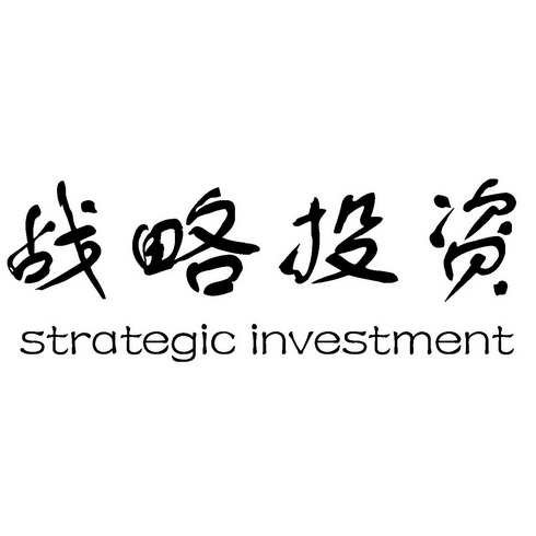 战略投资;STRATEGIC INVESTMENT