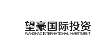 望豪国际投资 WANGHAO INTERNATIONAL INVESTMENT;WANGHAOINTERNATIONALINVESTMENT