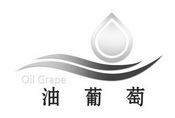 油葡萄 OIL GRAPE;OIL GRAPE