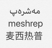 麦西热普 MESHREP;MESHREP