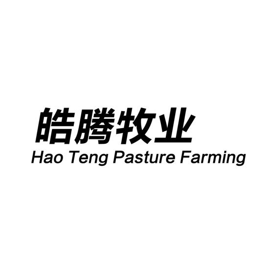 皓腾牧业  HAO TENG PASTURE FARMING;HAOTENGPASTUREFARMING