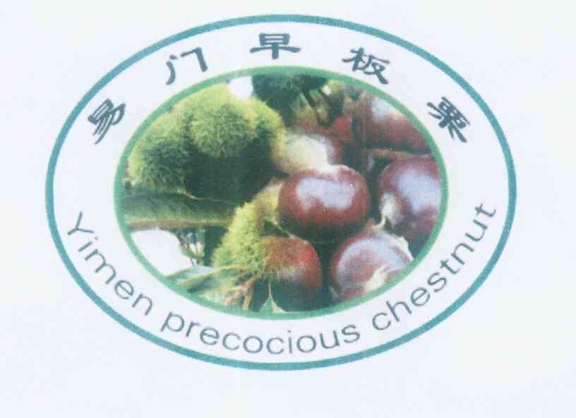 易门早板栗 YIMEN PRECOCIOUS CHESTNUT;YIMENPRECOCIOUSCHESTNUT