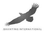 SHANYING INTERNATIONAL;SHANYING INTERNATIONAL