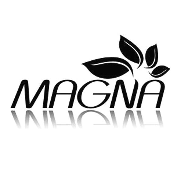 MAGNA;MAGNA