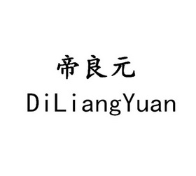 帝良元;DILIANGYUAN