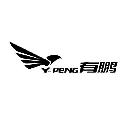 有鹏 Y PENG;YPENG