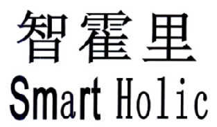 智霍里  SMART HOLIC;SMARTHOLIC