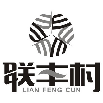 联丰村;LIANFENGCUN