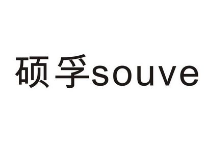 硕孚 SOUVE;SOUVE