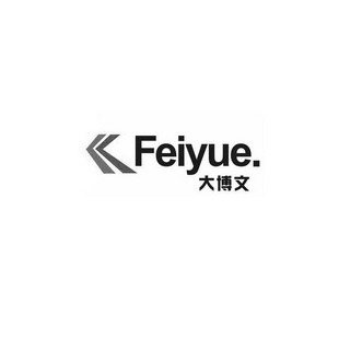 大博文;FEIYUE