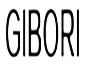 GIBORI;GIBORI