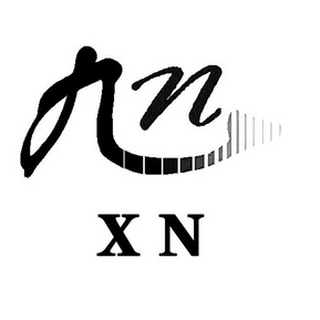 九 N XN;N XN