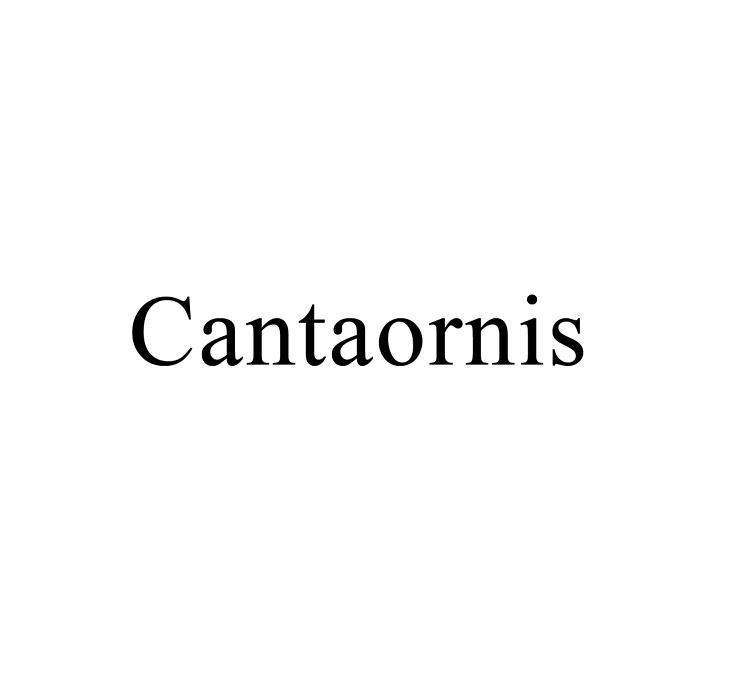 CANTAORNIS;CANTAORNIS