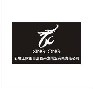 石柱土家组自治县兴龙煤业有限责任公司 XINGLONG;XINGLONG