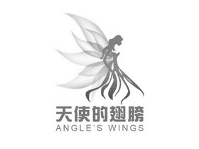 天使的翅膀 ANGLE'S WINGS;ANGLEWINGS