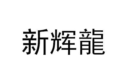 新辉龙