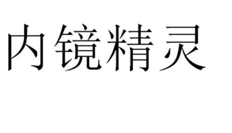 内镜精灵