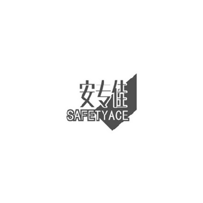 安专佳 SAFETYACE;SAFETYACE