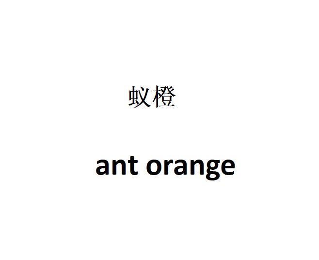 蚁橙 ANT ORANGE;ANT ORANGE