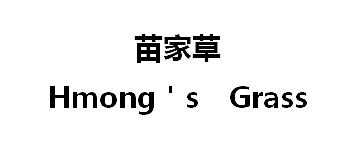 苗家草;HMONGS GRASS